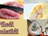 ” Pileći rolatići ” – KUHANJE.COM Pileći rolatići