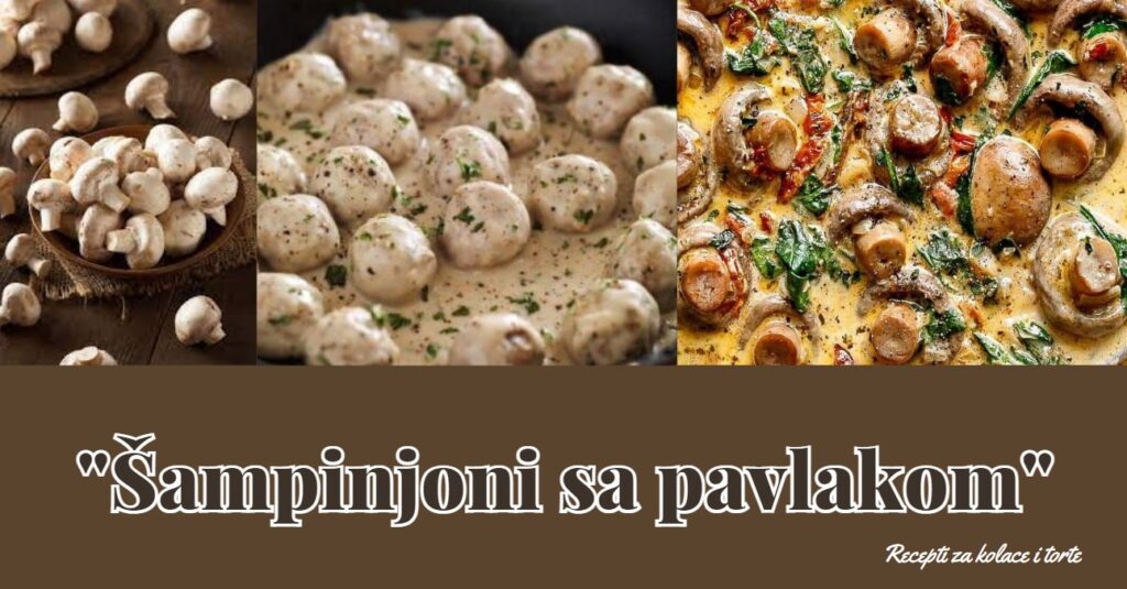 Šampinjoni sa pavlakom