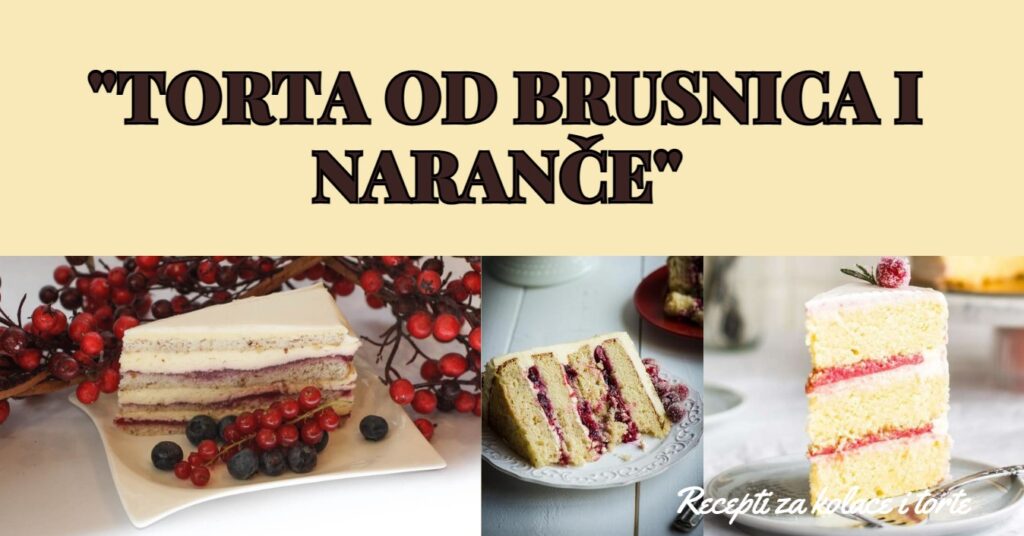 TORTA OD BRUSNICA I NARANČE